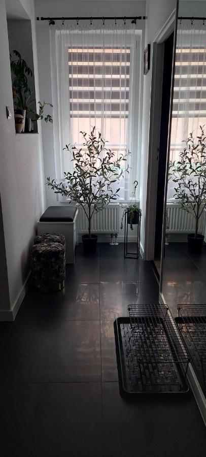 Apartamenty Magvel Щецин Экстерьер фото